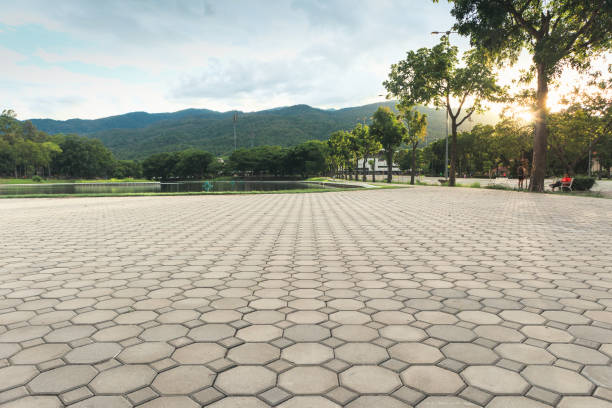 Best Local Driveway Pavers  in Clark Mills, NY